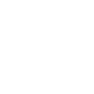 Privacy icon
